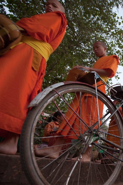 Monks in saffron-dyed robes in Luang Prabang walk along the street collecting alms. Photo: Nick SMith